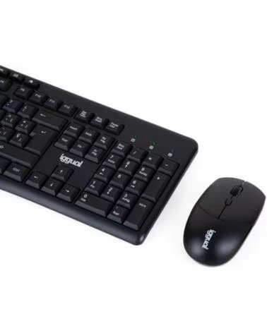 IGGUAL Kit teclado raton inalambrico WMK-BASIC