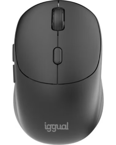 IGGUAL Raton inalambrico NANO-OFFICE-6D 1600DPI