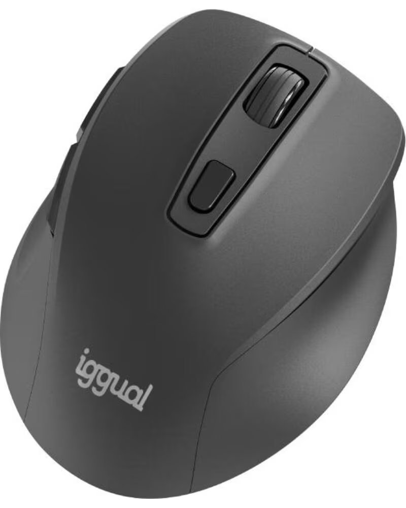IGGUAL Raton inalambrico ERGO-SILENT-6D 1600DPI