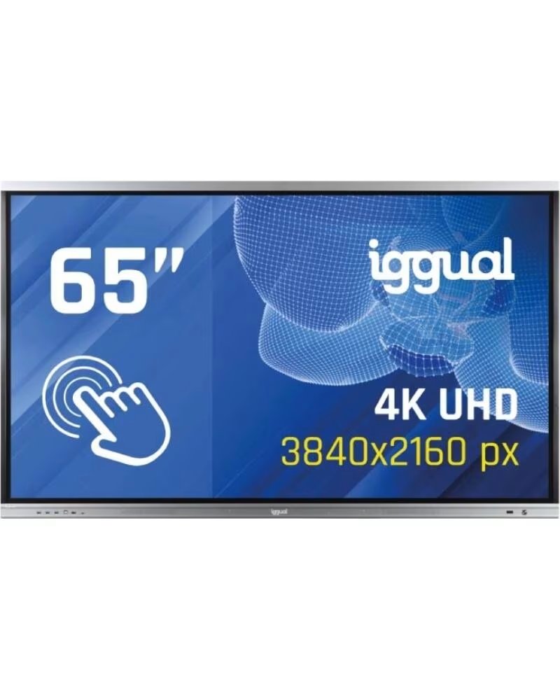 IGGUAL Pantalla interactiva 4K ORCHID 65