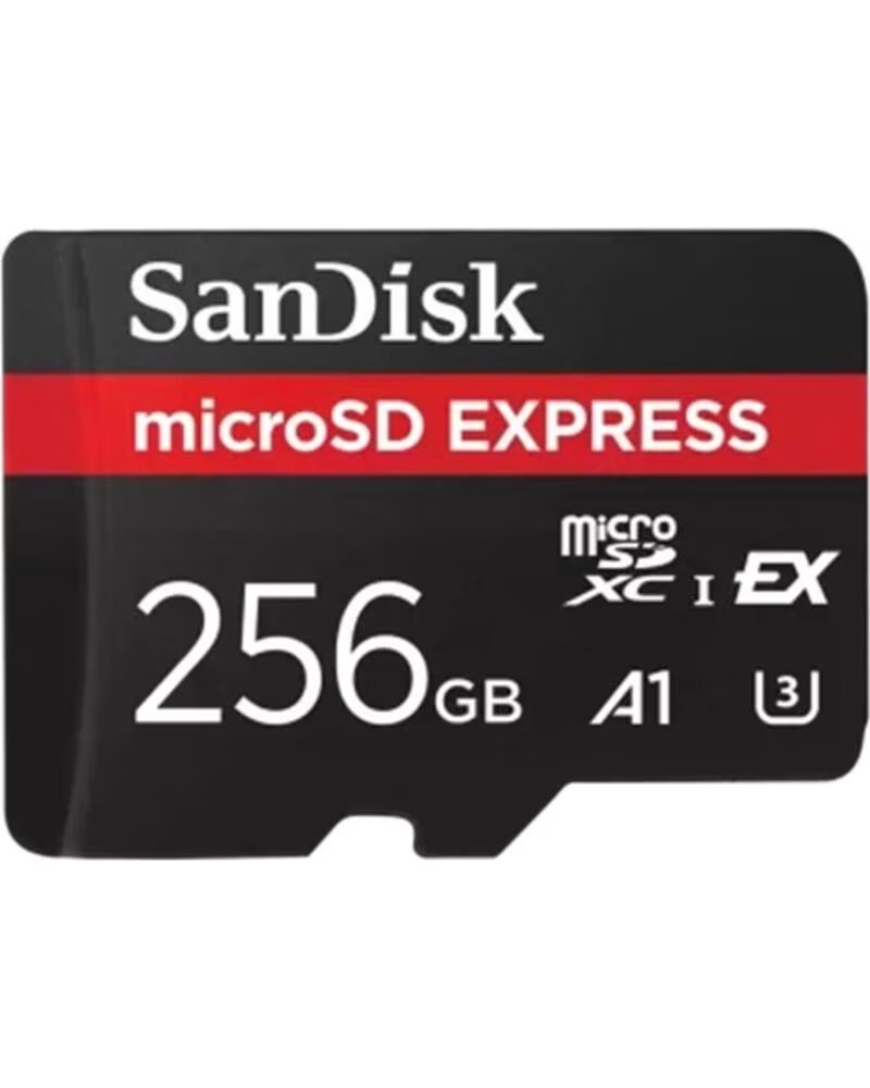 SANDISK Tarjeta memoria micro secure digital 256gb express