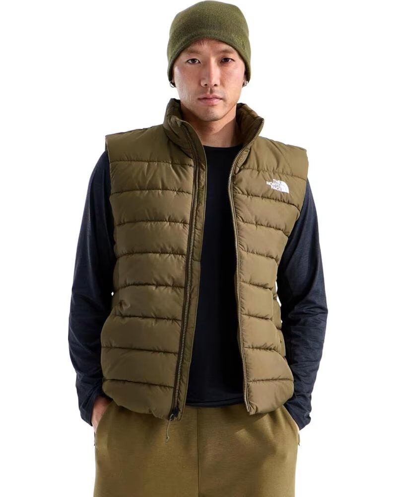 THE NORTH FACE NF0A8H0N2EK GILET UOMO KAKI CAQUI