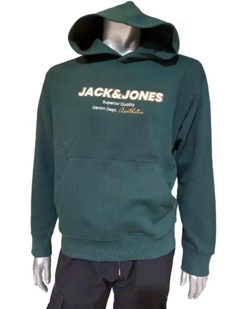 JACK AND JONES SWEAT-SHIRT À CAPUCHE JJABBO 12298471 VERT VERDE