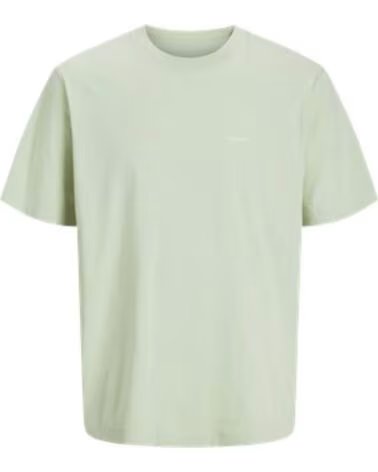 JACK AND JONES T-SHIRT JORVARENNA PAINTED BACK SS CRE NECK 12273646 VERDE