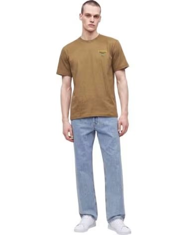 LACOSTE CAMISETA PREMIUM PRINTED JERSEY T-SHIRT COOKIE