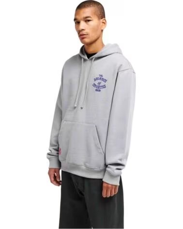 RVCA KAPUZENPULLOVER DALAS SNAKE MONUMENT