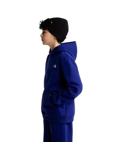 THE NORTH FACE Sudadera Con Capucha Evolution Simple Dome en azul para ninos BLUE