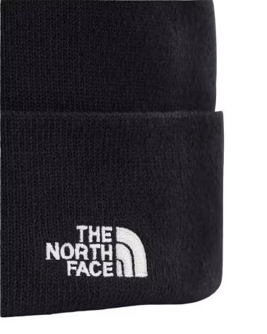GORRO THE NORTH FACE NF0A5FW1JK3 NEGRO