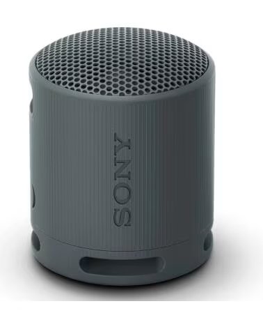 SONY SRS-XB100 - ALTAVOZ INALAMBRICO BLACK