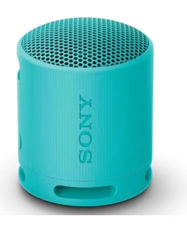 SONY SRS-XB100 - ALTAVOZ INALAMBRICO BLUE