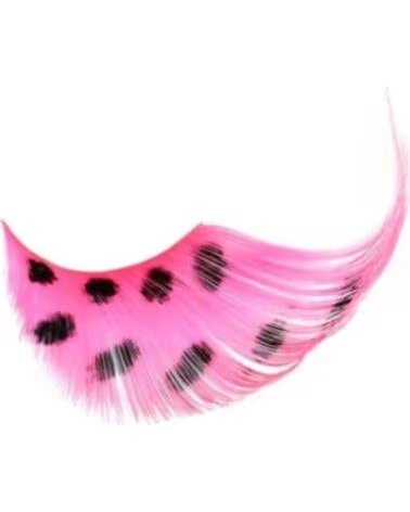 KALENTIN LASHES Kalentin Pestanas En Banda Fantasia Hollywood
