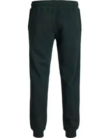 JACK & JONES GORDON JADE SWEATPANTS 12299124 VERDE