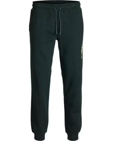 JACK & JONES GORDON JADE SWEATPANTS 12299124 VERDE