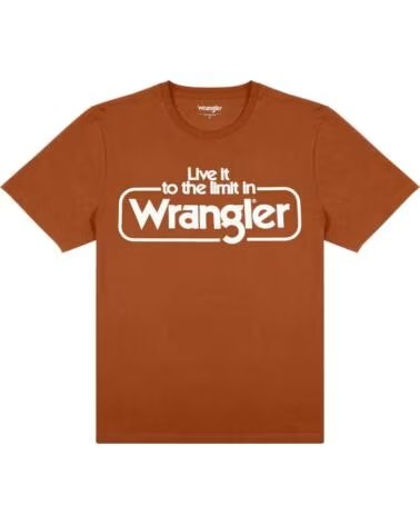WRANGLER KURZARM-T-SHIRT W70SD3H0200 IN BRAUN FÜR HERREN MARRON