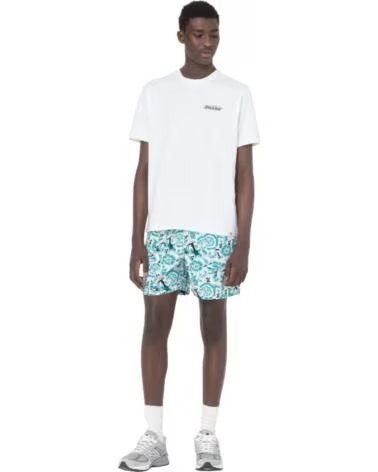 DICKIES KURZARM-T-SHIRT DK0A4YBTWHX1 FÜR HERREN WEISS MULTICOLOR