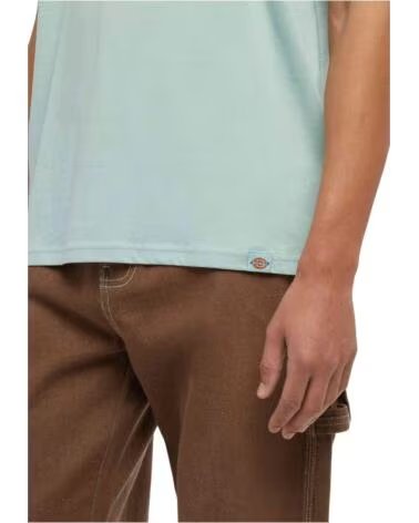 DICKIES T-SHIRT A MANICA CORTA DK0A863DJ591-M VERDE DA UOMO