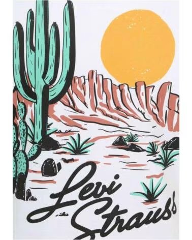 LEVI´S KURZARM-T-SHIRT 124-15017757933912 MIT KAKTUS-PRINT MULTICOLOR