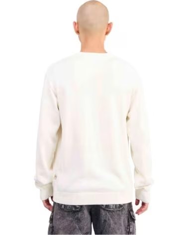 DICKIES Sudadera Dk0A87Opc481 en beige para hombre EGRET