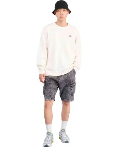 DICKIES Sudadera Dk0A87Opc481 en beige para hombre EGRET