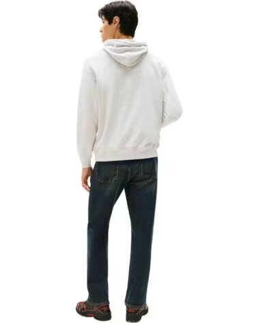 SWEAT À CAPUCHE TOMMY JEANS DM0DM22113P09 GRIS HOMME GREY