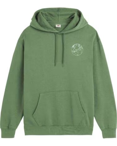 LEVIS KAPUZENPULLOVER A26390063 IN GRÜN FÜR HERREN NEUTRALS