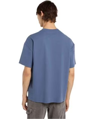 DICKIES MAGLIETTA MANICA CORTA DK0A88JGRI21 AZUL