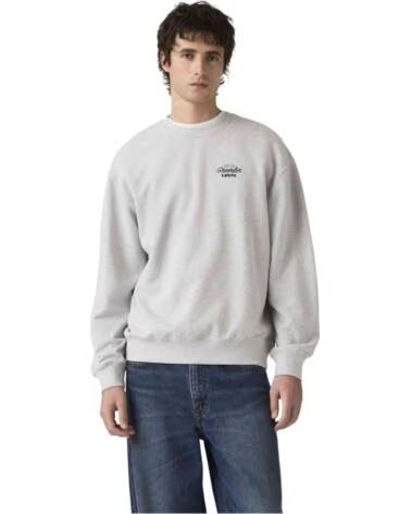LEVIS SWEATSHIRT RELAXED GRAPHIC CREWNECK COASTAL CREATIVE